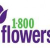 Conroy's Flowers