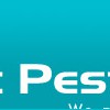 First Pest Control