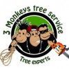 3 Monkeys Tree Service
