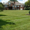 Shawn Jones Lawn Care