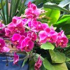 Growco Indoor Garden Supply