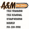 A & M Tree Service & Stump Grinding