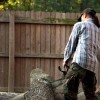 A-1 Tree Pruning & Removal