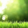 A & A Lawn & Landscaping