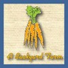 A Backyard Farm