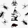 Abatol Al's Pest Control Services