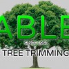 Able Tree Trimming & Firewood