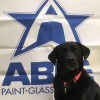 Able Paint Glass & Flooring