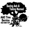 A & C Tree Service