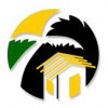 Accent Design Services