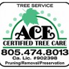 Ace Certified Tree Care