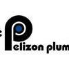 Ace Pelizon Plumbing