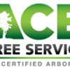 ACE Tree Service