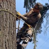 AG Tree Service