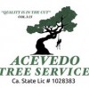 Acevedo Tree Service