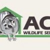 Ace Wildlife Services