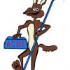 Acme Pool & Spa Care