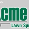 Acme Systems