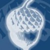 Acorn Sales