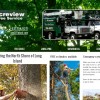 Acreview Tree & Lawn Service
