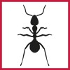 Action Pest Services