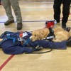 Action Response Team