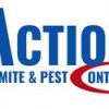 Action Termite Control