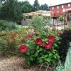 Adams County Winery