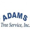 Adams Tree Service