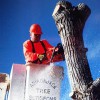 Adirondack Tree Surgeons