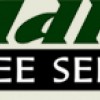 Adler Tree Service