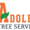 Adolfo Tree Services