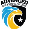 Advanced Professional Security