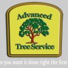 Advanced Tree Services