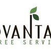 Advantage Tree Service