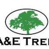 A&E Tree