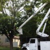 Affordable Landscaping & Tree Service