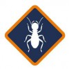 Affordable Termite Control