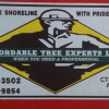 Affordable Tree Experts