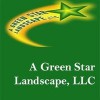 A Green Star Landscape