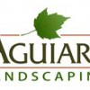 Aguiar's Landscaping