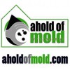 Ahold Of Mold Environmental