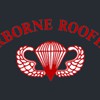 Airborne Roofing