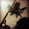 A. Kreta & Son Tree & Stump Removal