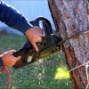 Alexandria Tree Services Unlimited