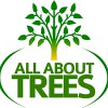 All About Trees