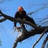 Chop Chop Tree Care