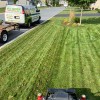 All Green Lawn & Tree Care