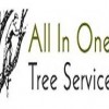 All In One Tree Services
