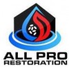 Advanced Restorations